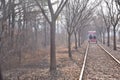 Korean Rail Bike carts activities Royalty Free Stock Photo