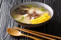 Korean Rice Cake Soup Tteokguk for New Year closeup in the bowl. Horizontal