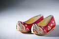 Korean traditional flower shoes Royalty Free Stock Photo