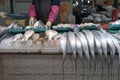 Various fishes are ready to be sold at traditional market in Korea