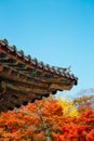 Korean traditional roof eaves with autumn leaves at Bulguksa temple in Gyeongju, Korea Royalty Free Stock Photo