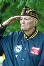 Korean War Veteran Saluting