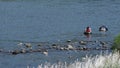 Korean women fishing for mollusks near shore of shallow river