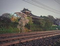 Night shot of Japanese castle with cherry blossoms Royalty Free Stock Photo