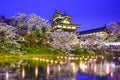 Koriyama Castle Royalty Free Stock Photo