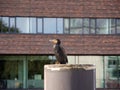 Kormoran stands on a pillar and looks for loot