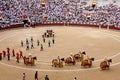 Korrida in Madrid. Parade participants