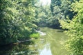 Korun-Shevchenkivskiy park. Ukraine.