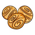 Korvapuusti. Sweet Finnish cardamom buns with brown sugar and cinnamon. Finnish food. Vector image isolated