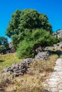 At the foothills of mount Dikaios, Island Kos, Greece Royalty Free Stock Photo