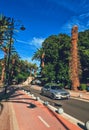 Empty road and palm trees in town Royalty Free Stock Photo