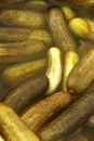 Kosher dill pickles in a barrel Royalty Free Stock Photo