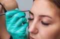 Kosmetolog- makeup artist applies paint henna on previously plucked, design, trimmed eyebrows in a beauty salon