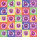 Kosmeya flower in colorful squares. Rainbow kids background.