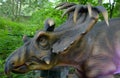 Kosmoceratops is a genus of ceratopsid dinosaur Royalty Free Stock Photo