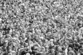 People having fun at a concert during the 23rd Woodstock Festival Poland.