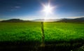 Kota Belud Paddy Field Royalty Free Stock Photo