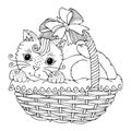 Gift basket with cute kitten.
