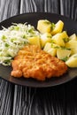 Kotlet Schabowy Polish Breaded Pork Chop with boiled potatoes and cabbage salad close-up in a plate. Vertical Royalty Free Stock Photo
