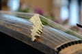 Koto - traditional musical instrument