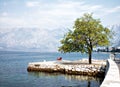 Kotor Bay,Dobrota,seascape