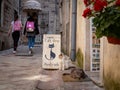 Two cats sitting on a doormat in front of a souvenir shop in a narrow street in the old town of Kotor, Montenegro. Royalty Free Stock Photo