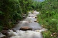 Kurangani Kottakudi River in Tamilnadu