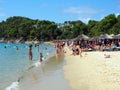 Koukounaries Beach, Skiathos Greek Island, Greece