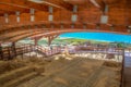 KOURION, CYPRUS, APRIL 7, 2018: Ruins of an ancient house with beautiful floor mosaics in ancient Kourion, Cyprus