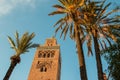 Koutoubia Mosque and palm trees in Marrakech at evening Royalty Free Stock Photo