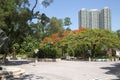 Kowloon park in modern city Hongkong China Asia