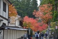 Koyasan The World Heritage Japan