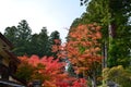 Koyasan The World Heritage Japan