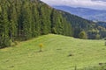 Kozi chrbat mountain meadow