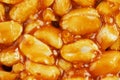 Kozinaki from golden, roasted peanuts beans as a background, texture. Macro shooting, close-up. Place for text Royalty Free Stock Photo