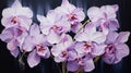 Purple Orchids: A Joyful Celebration Of Nature In Martine Johanna\'s Style