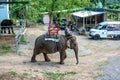 Krabi, Thailand - April 4, 2023: Elephant with mahout sits on its back. elephant nursery where elephants ride tourists for money