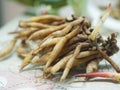 Krachai, Boesenbergia rotunda fingerroot, lesser galangal or Chinese ginger, is a medicinal and culinary herb from China and