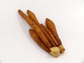 Krachai root Royalty Free Stock Photo