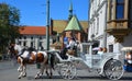 The most romantic way to tour Krakow is by the horse-drawn carriages