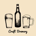 Kraft beer bottle and glasses illustration. Vector old brewery image. Retro ale, lager icon with hand sketched two mugs. Royalty Free Stock Photo