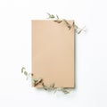 Kraft brown memo pad, empty paper with eucalyptus leaves on white background Royalty Free Stock Photo