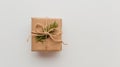 Kraft cardboard gift box tied with rough jute rope on gray wooden background with branches of Christmas tree and Royalty Free Stock Photo