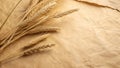 Kraft paper background showcasing dried corn for rustic decoration and crafts Royalty Free Stock Photo