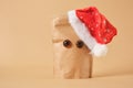 kraft paper bag with a cute friendly smile and doll eyes in a santa hat, delivery business, food packaging, eco bag,