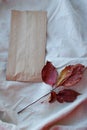 Kraft paper bags with autumn leaves on vintage linen fabric background