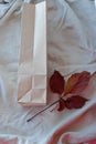 Kraft paper bags with autumn leaves on vintage linen fabric background