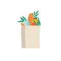 Kraft paper shopping bag with fresh vegetables meal. Flat vector illustration organic and natural food. Nature packet Royalty Free Stock Photo