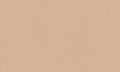 Kraft, texture. Kraft paper beige empty background, surface, wallpaper