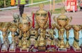 Kragujevac, Serbia - April 9, 2017: The close up of dog trophies with medals on the table. C.A.C.I.B